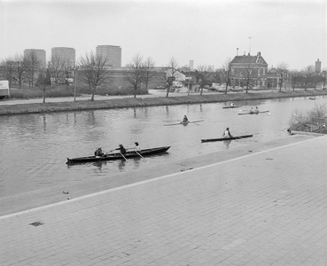 882265 Afbeelding van enkele roeiboten op de Vaartsche Rijn, ter hoogte van de roeiaccomodatie aan de Vaartsche Rijn ...